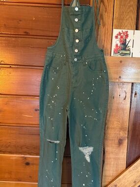 easel NWT Green Distressed Painter-Style Overalls